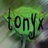tonyx - punpun