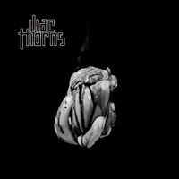 Iliac Thorns