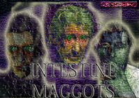 Intestine Maggots