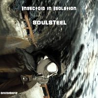 Insectoid in Isolation - Soulsteel 2011