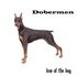 Dobermen - Man With The Dogmask