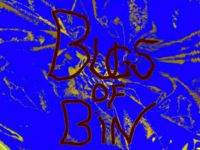 Bugs of Bin