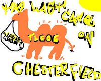 The Last camel on chesterfield