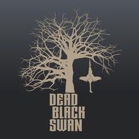 Dead Black Swan