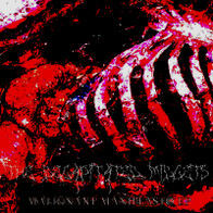 The Decapitated Midgets - Malignant Manifeasto EP