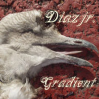 Diaz jr. - Gradient