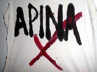 ApinaX