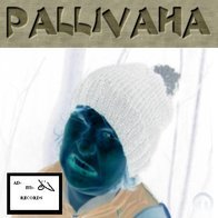 Team PALLIVAHA - Palliraketit vahasta EP
