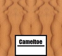 Cameltoe