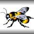 hukka64 - Bee