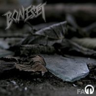 Boneset - Fall