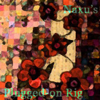 Naxu's Plugged-on Rig