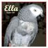 kisastudio - Ella