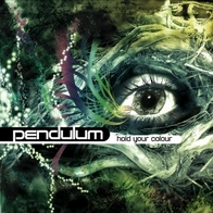 The Pendulum - Hold Your Colour