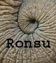 Ronsu