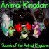 Animal Kingdom - The Line Is a Dot