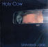 Holy Cow - Funky Ukki