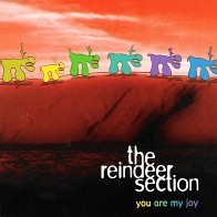 The Reindeer Section - You Are my Joy
