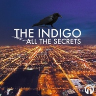 The Indigo - All the Secrets