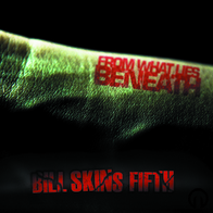 Bill Skins Fifth - From What Lies Beneath