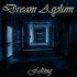 Dream Asylum - Falling