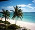 Oneplay - The Bahamas dream