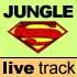 Never Trust a Dj - Jungle - S - live Performence