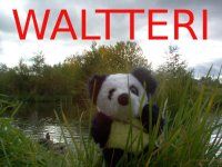 Waltteri - 1st album