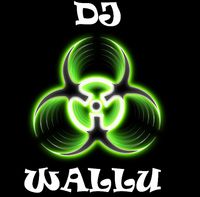 DJ Wallu