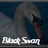 Morass - Black Swan