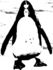 Apparatus - Norjalainen pingviini