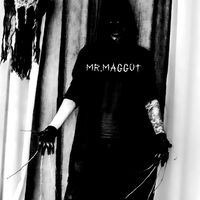 Mr.Maggot