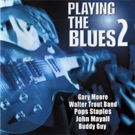 Eri esittäjiä - Playing The Blues 2