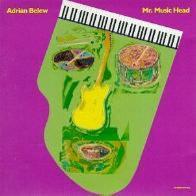 Adrian Belew - Mr.Music Head