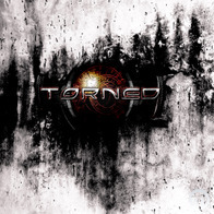 TorneD - TorneD Demo 2010