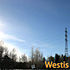 Westis - Spring Chill