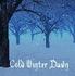 ...Nothing But The Truth - Cold Winter Dawn