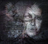 Straybeat (new)