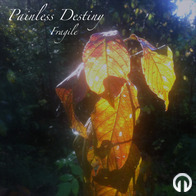 Painless Destiny - Fragile