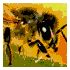 Xaviaro - Lonesome Honeybee