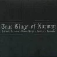 Eri esittäjiä - True kings of Norway
