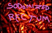Sodomized Rectum