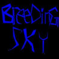 Breeding Sky - Breeding Sky