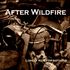 After Wildfire - Take me to your world