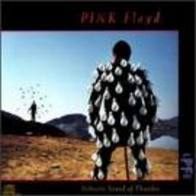Pink Floyd - Delicate sound of thunder