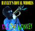 The Hayleys - Kill The Monkey