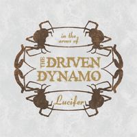 The Driven Dynamo