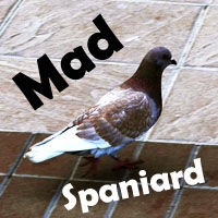Mad Spaniard