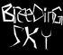 Breeding Sky - I Don't Want To See You