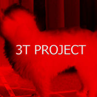 3T Project